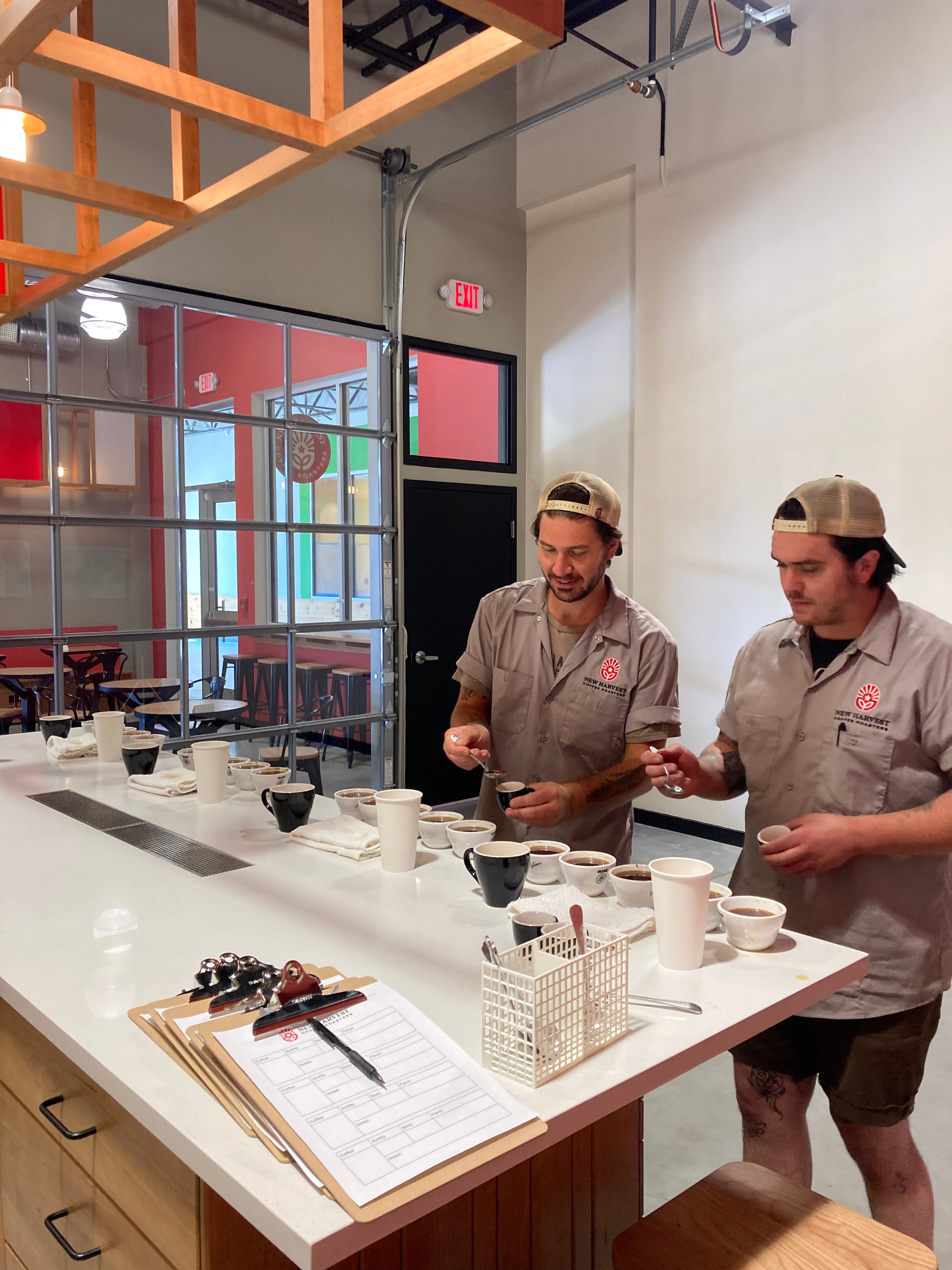 new harvest coffee roasters providence