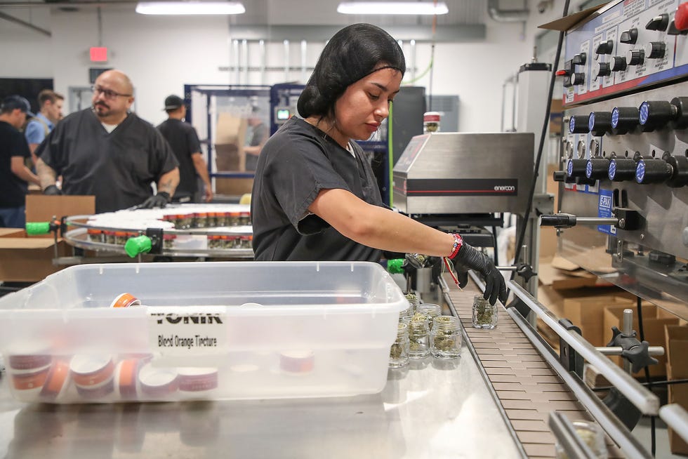Anaissa Marchan works at the cannabis co-packing company Growpacker in Desert Hot Springs, July 1, 2021.