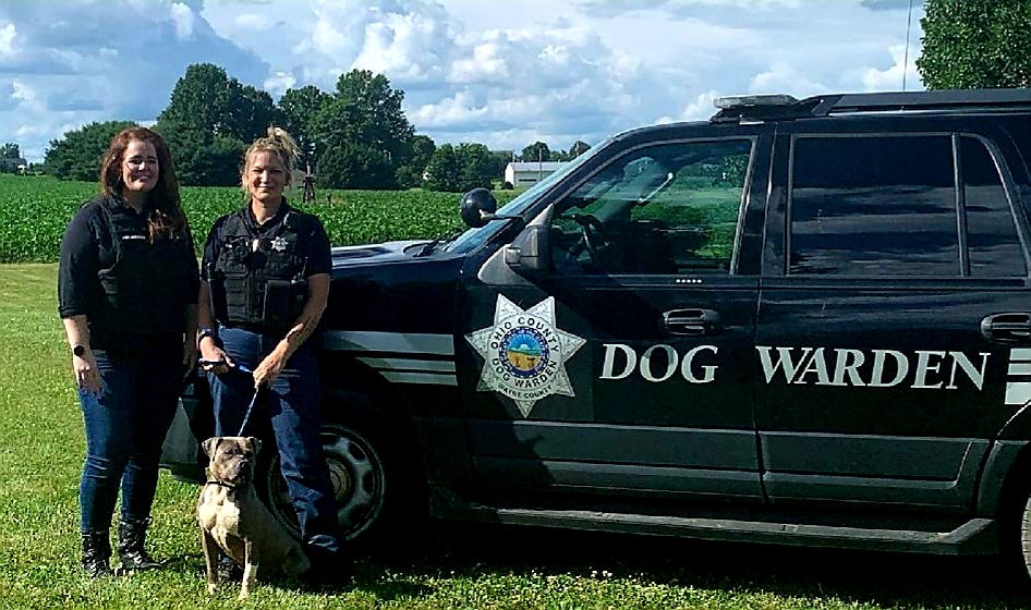 Wooster Canines Have A New Layer Of Protection From County Dog Warden