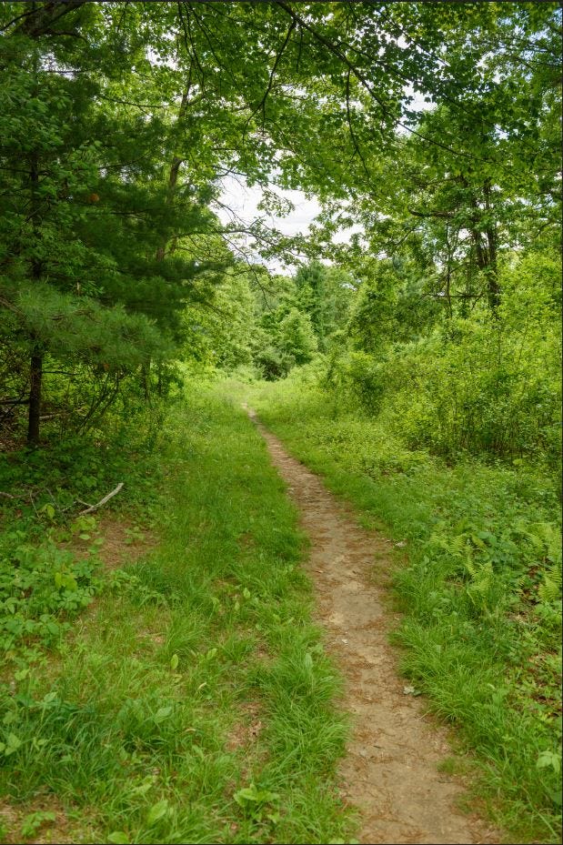 SVT finalizes three conservation efforts through collaboration, fundraising and grants