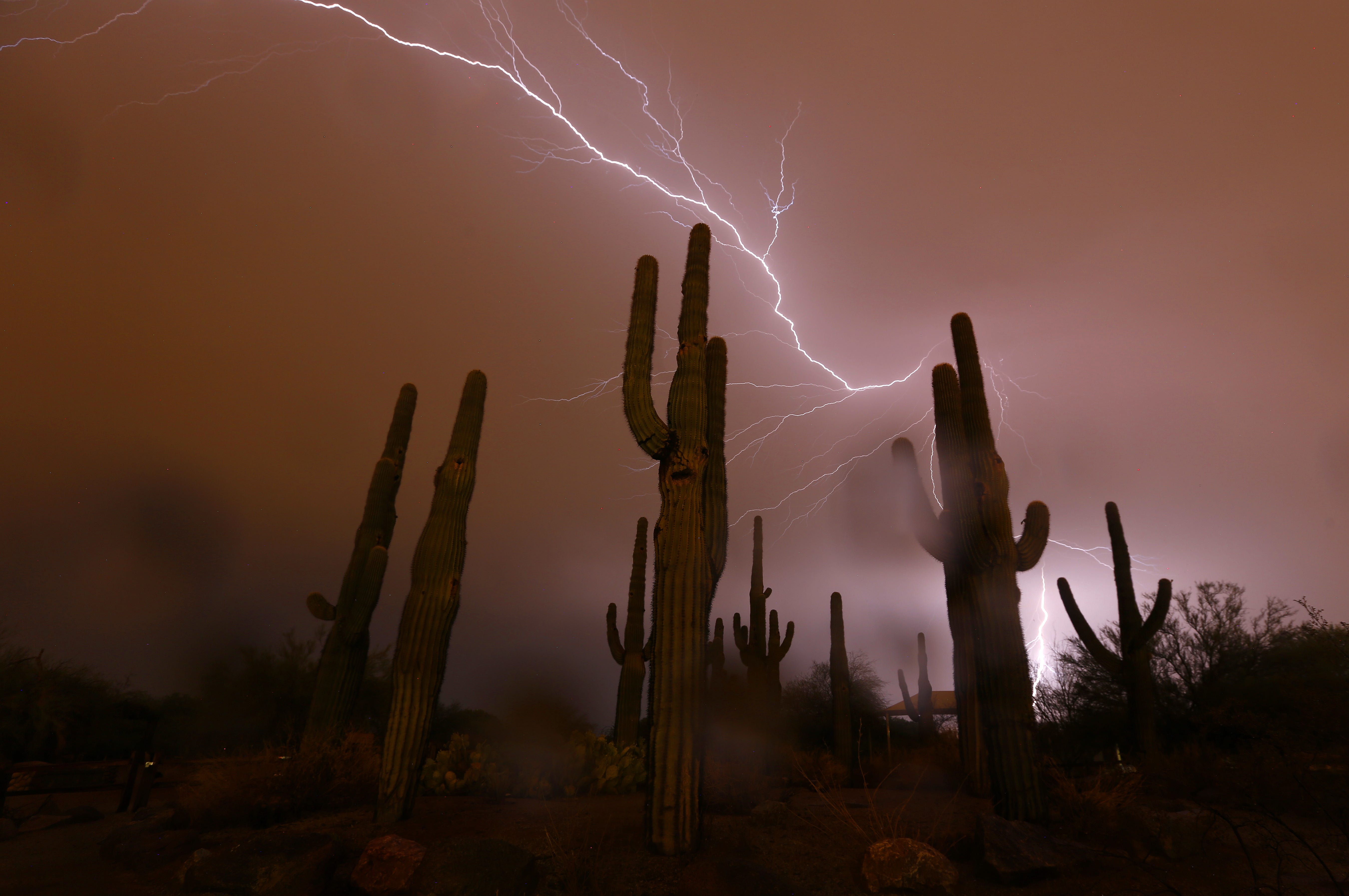 4 hikers injured during lightning strike in Grand Canyon