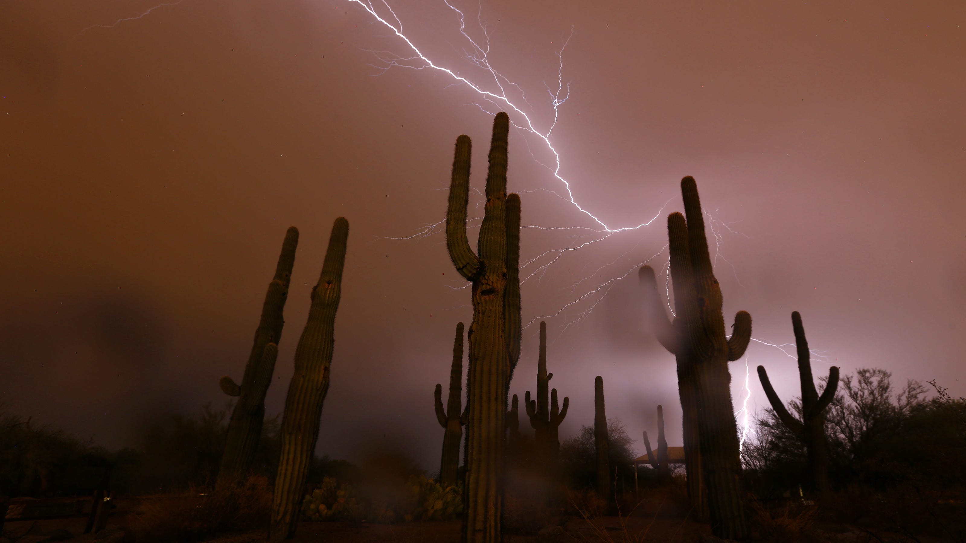 Lightning Strikes Kill 38 People In India Including 11 Selfie Takers In Just 24 Hours