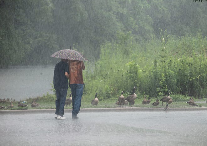 Two people share an umbrella on their way to the parking lot as a downpour hits in Washington Park in Springfield, Ill., Monday, July 12, 2021. [Justin L. Fowler/The State Journal-Register]