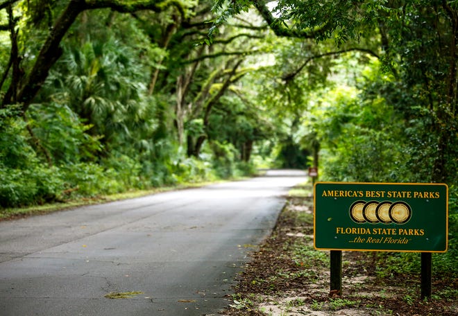 A treetop road leads to an entrance to the La Chua Trail in Paynes Prairie Preserve State Park in Gainesville.