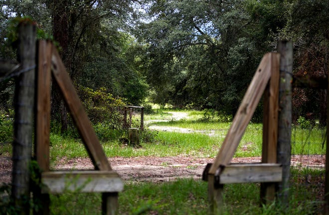 A gate opens to a path in the Watermelon Pond Wildlife and Environmental Area in Newberry.