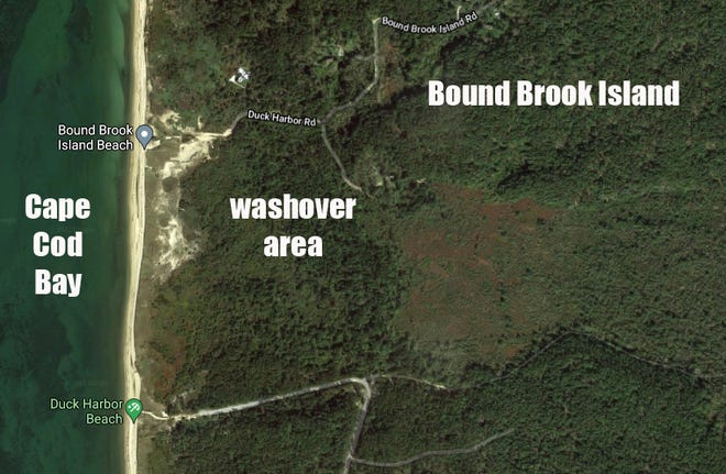 This Google satellite image shows the northwest part of Wellfleet, where inland flooding of Cape Cod Bay has created a large breeding ground for mosquitoes.