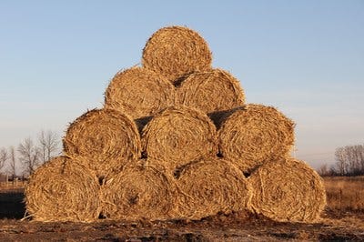 North Dakota State University And The North Dakota Department Of Agriculture Are Helping Connect Those Who Need Livestock Feed With Those Who Have It.