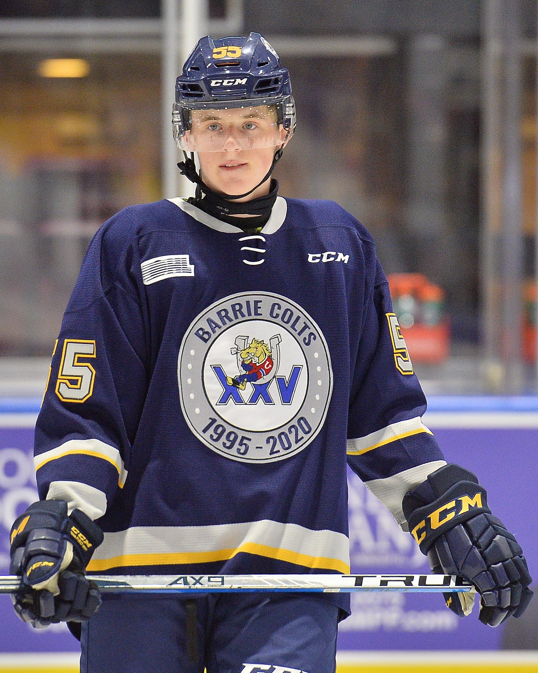 NHL draft profile Brandt Clarke, defenseman