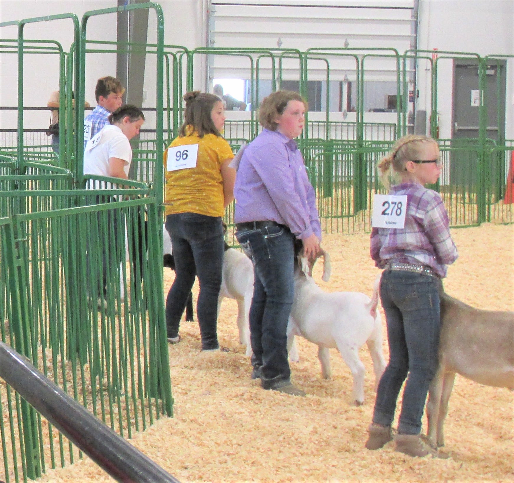 Holmes County Fair putting pandemic in past, looking to fun in 2021