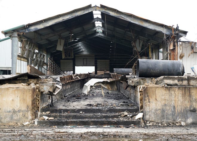 Fire tore through the milking barn at Hoffland Dairy July 5, killing 30 cows. Dairy owner Luke Vanderhoff is working on rebuilding.