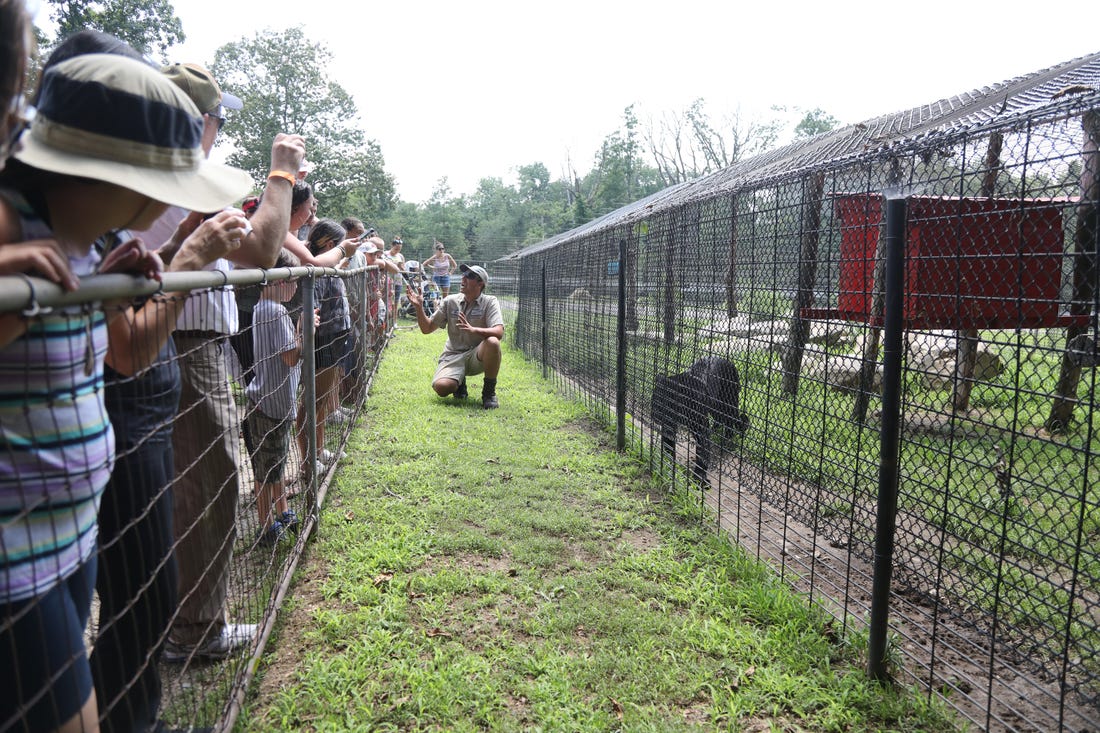 An instructor crouches between a crowd and a panther, held back by a fence.