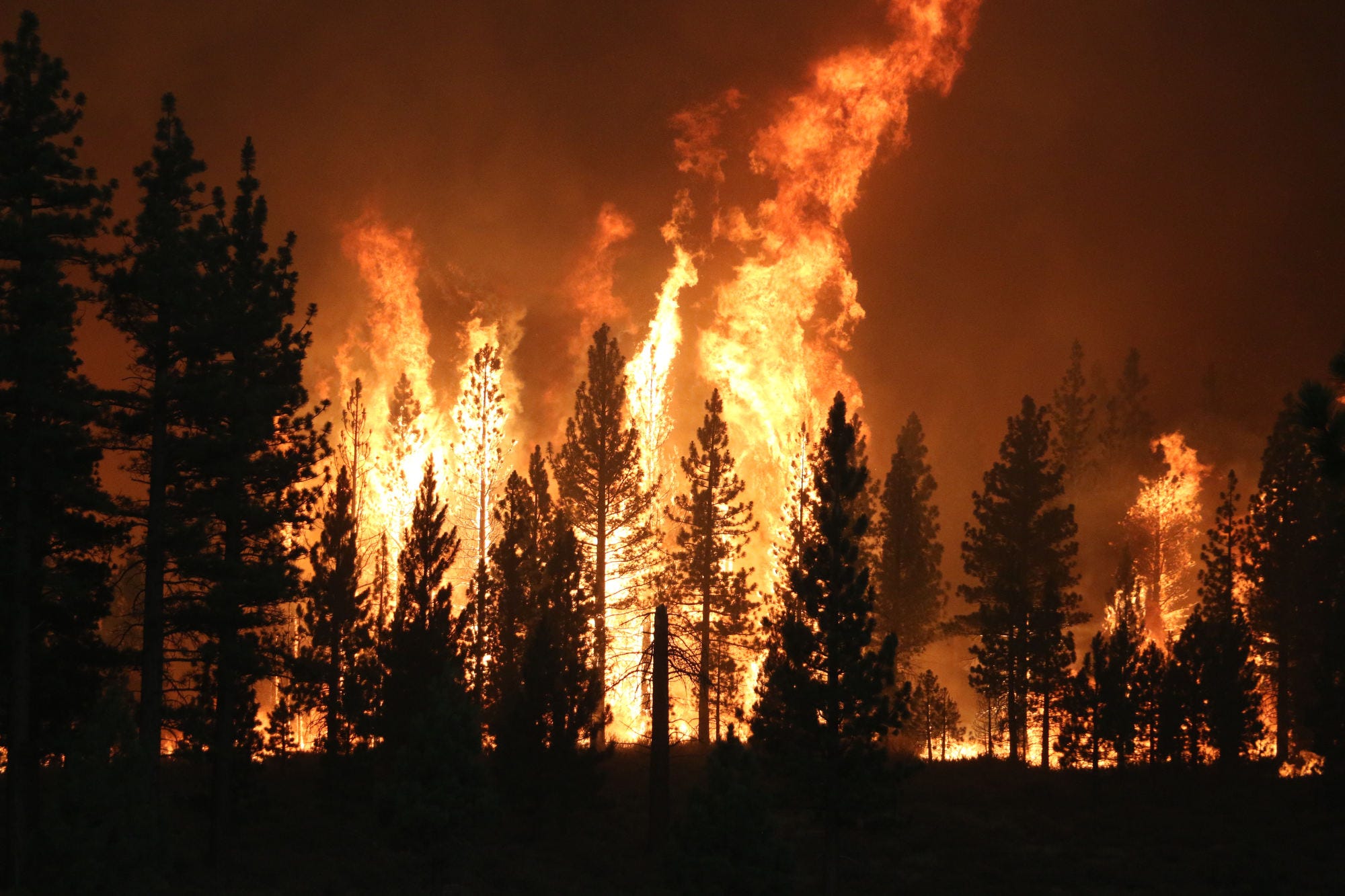 Tamarack Fire burning 18,299 acres, part of Pacific Crest ...