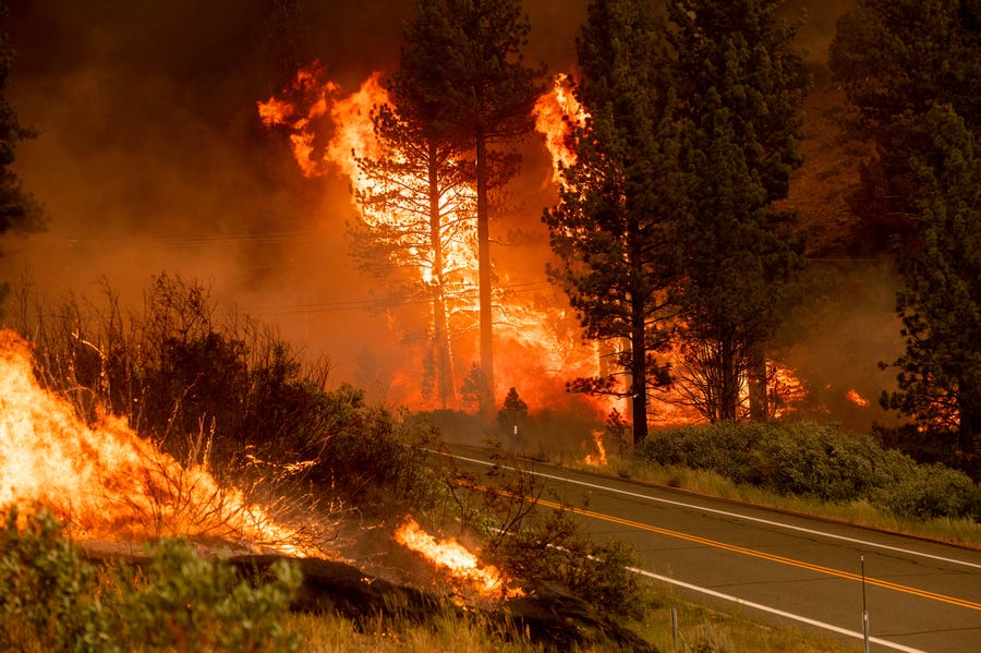 The Tamarack Fire burns in the Markleeville community of Alpine County, Calif., on Saturday, July 17, 2021. 