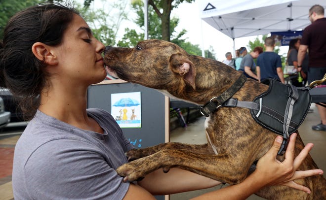 Karla Dixon with Canine Collective gets a kiss from 10-month-old Abraham on July 17 at a Cover to Cover Children's Books event in Upper Arlington. For information on how to adopt Abraham, go to caninecollective.org.