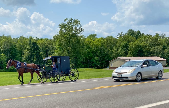 While being unhitched, a horse reared up and caused a buggy to overturn with three children inside. One of them, a 3-year-old girl, was trapped under the buggy for approximately two minutes before bystanders were able to upright the buggy.