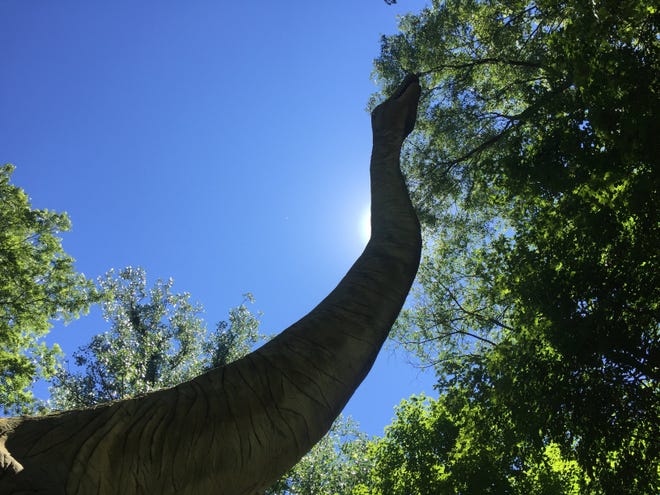 The brachiosaurus display, which has been at Binder Park Zoo for more than 30 years, will be getting some friends as part of the new children's zoo exhibit "Zoorassic Park."