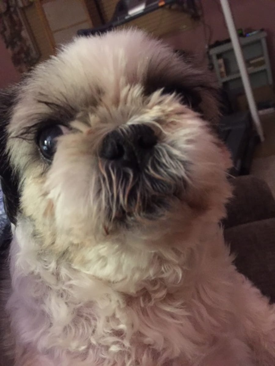 Tobey saying hello!