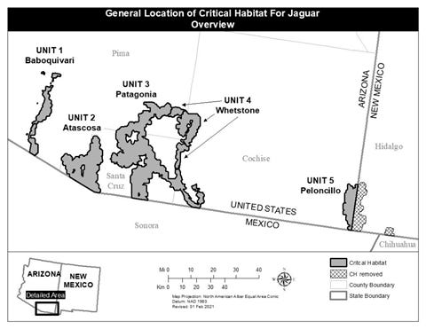 Mapa de hábitat crítico asignado a la recuperación del jaguar en Arizona.  Se excluyó la parte del programa de Nuevo México.