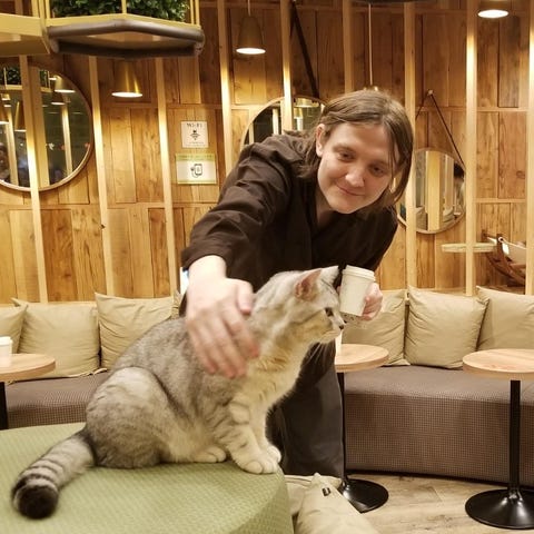 David at a cat cafe in Tokyo in 2018.