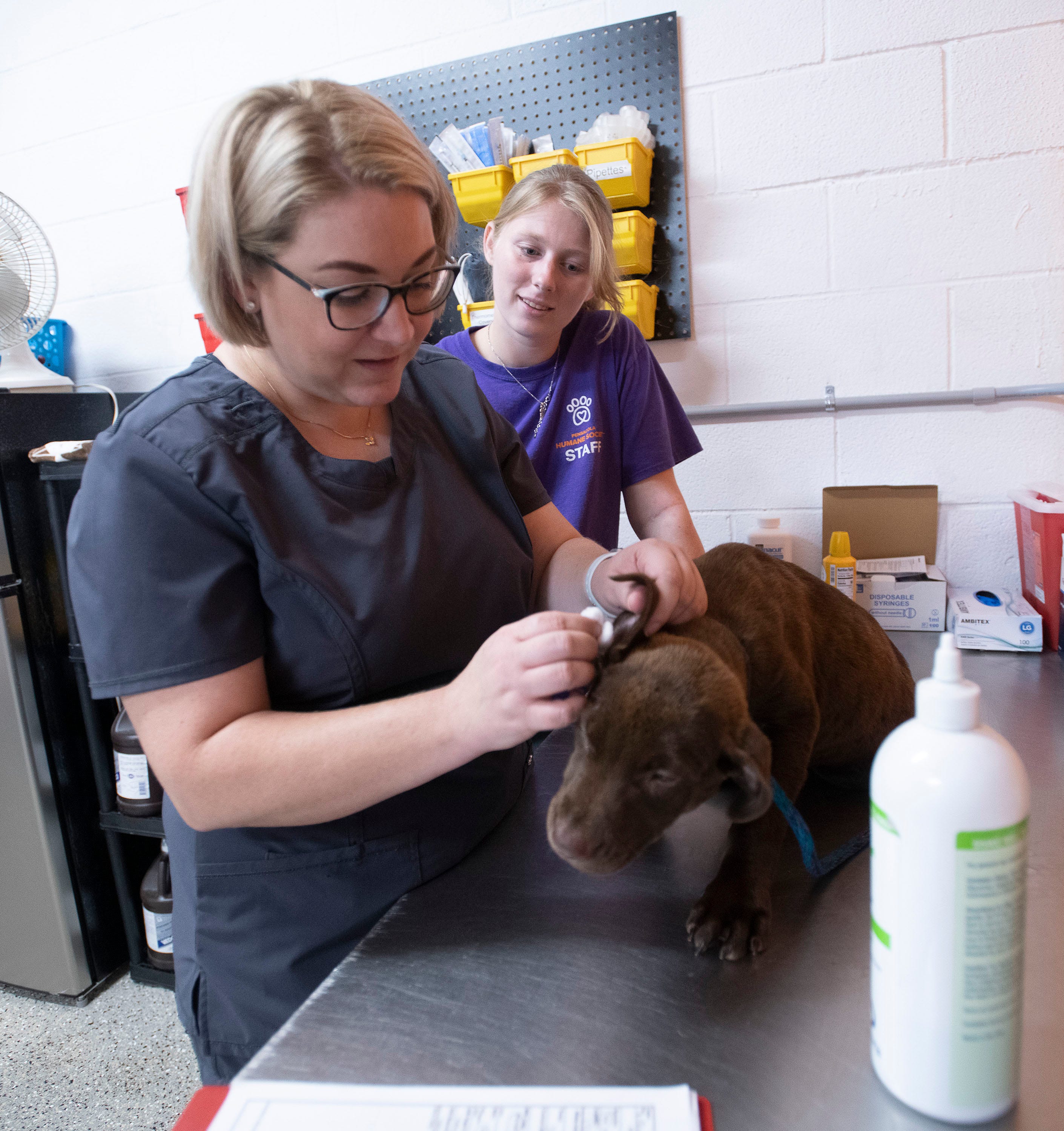 Pensacola Humane Society' opens new Talley Group Shelter Clinic