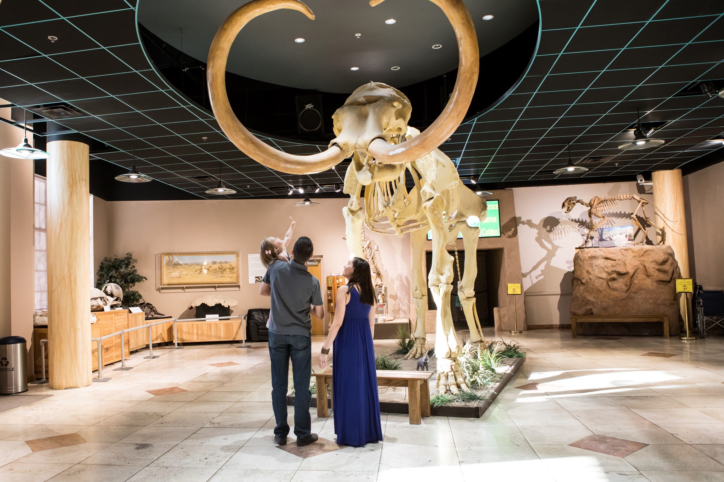 Kids' museums in Phoenix Musical instruments, dinosaurs and more