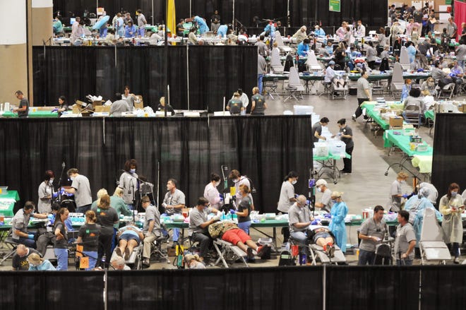 Cost-free dental treatment offered Friday and Saturday in Jacksonville Cost-free dental treatment offered Friday and Saturday in Jacksonville