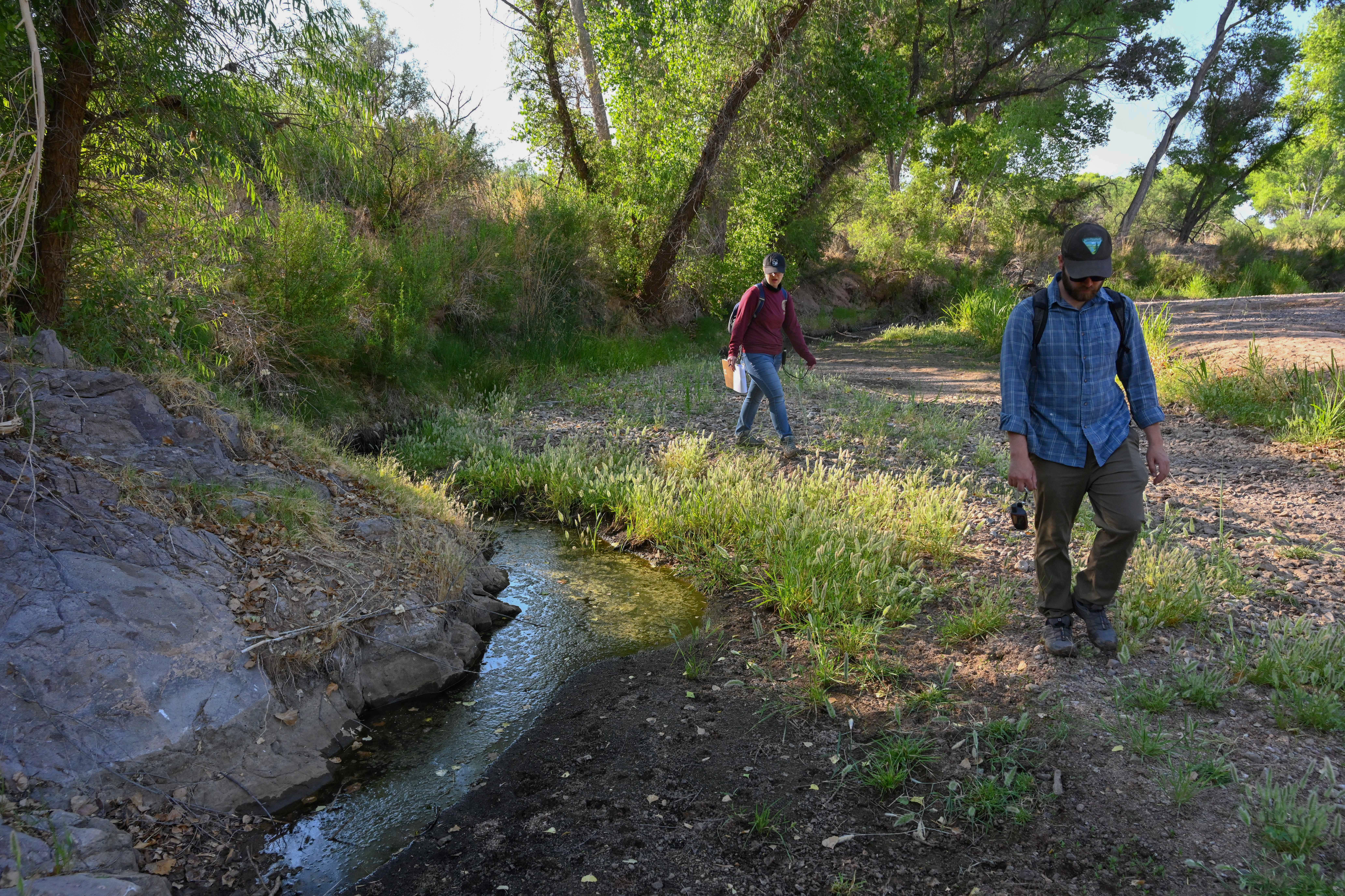 Dave Murray, a hydrologist with the federal Bureau of Land Management, walks along the San Pedro River on June 17, 2021, during a “wet-dry” survey of the San Pedro River, while intern Rachel Feagley follows.