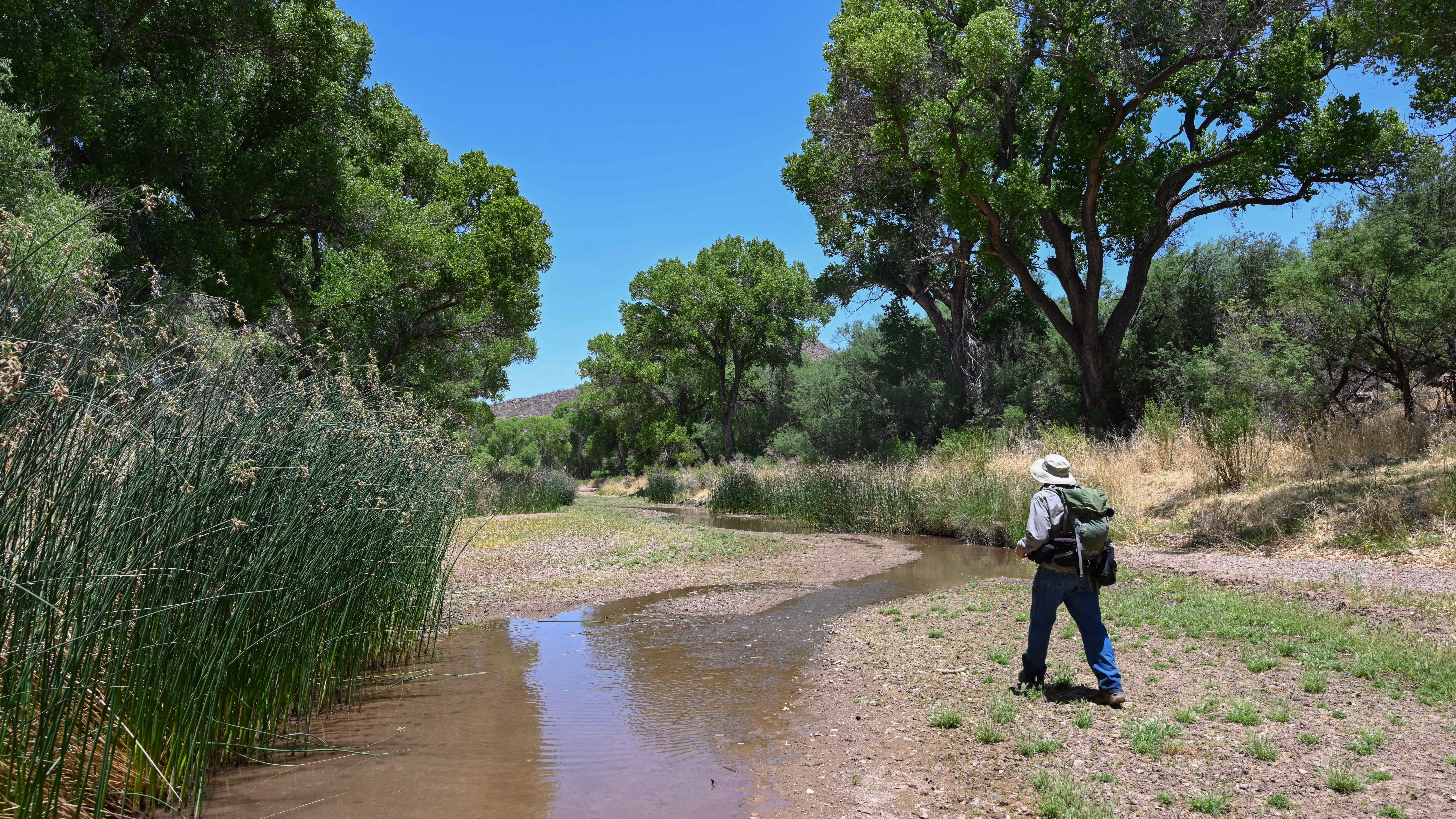 Sierra Club suing DOH over underground storage tanks