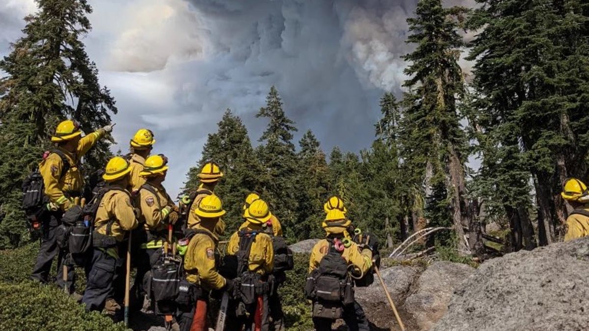 Cal Fire strike team from Santa Clara Unit gazes up at Dixie fire, July 17, 2021