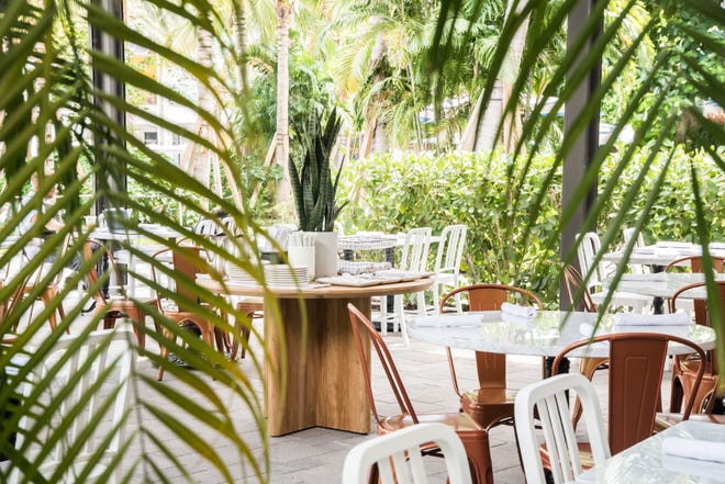 The leafy patio at True Food Kitchen, which made its debut on Friday, July 30, at Rosemary Square in West Palm Beach.