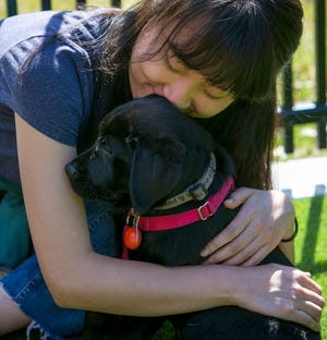 Sophomore Alina Xiao hugs a puppy during a Spring Breakthrough class taught by the authors at Duke University in Durham, NC, on Feb. 13, 2019.