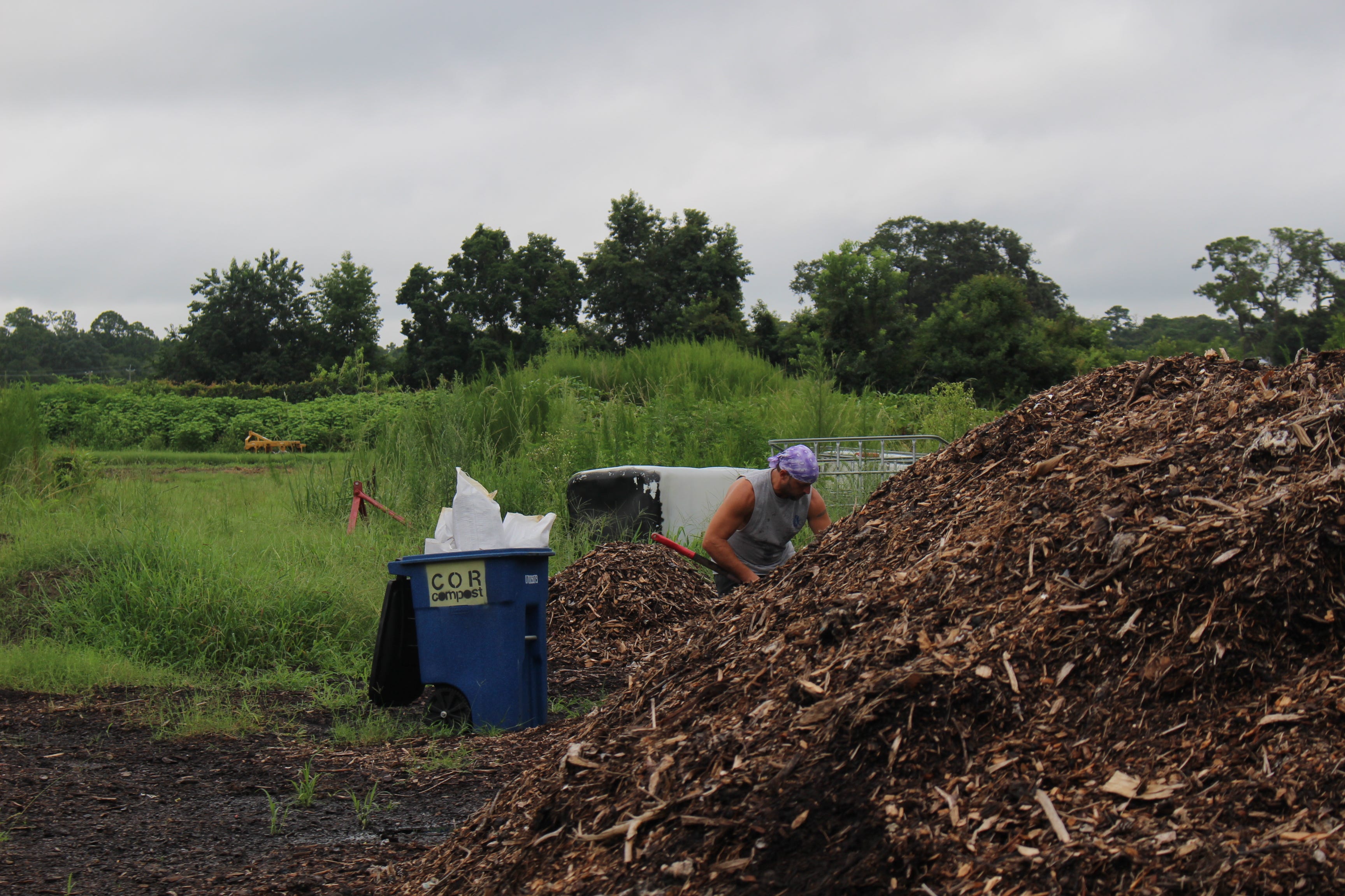Chatham County city of Thunderbolt wants residents to start composting