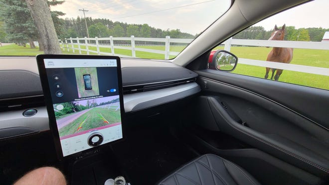 The 2021 Ford Mustang Mach-E offers good camera visibility. A fellow filly in Boyne City comes to check it out.