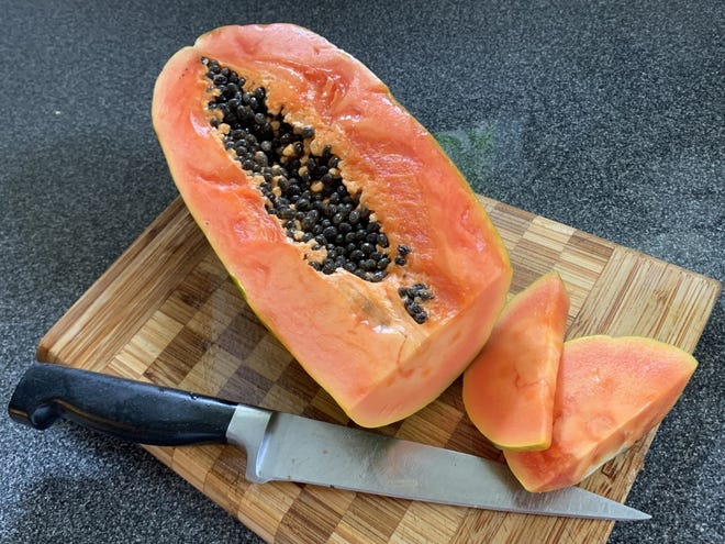 Papaya is native to Central America and needs tropical and subtropical conditions to thrive. It can be grown in North Florida, but will need protection from the cold. It also doesn't like drought conditions. The large-fruited "Maradol" variety is pictured here.
