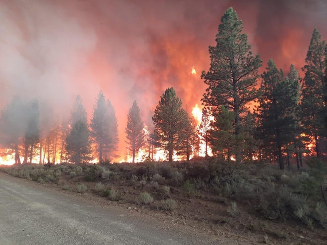 Flames from the Antelope Fire in Siskiyou County, taken about a half mile north of Tennant at  approximately 5 p.m. on August 4, 2021.