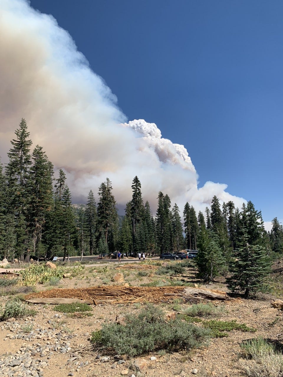 dixie fire today dixie fire today