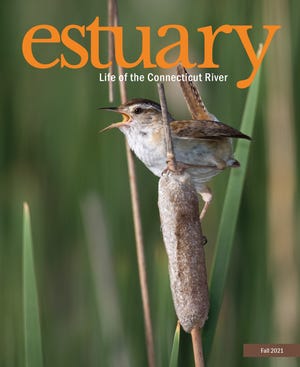 Estuary magazine features an article by William Gillette