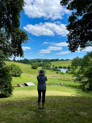 Especially for folks living downstate, it might be too expensive to visit Winterthur while gas prices are right now. That's why it's a good idea to check out its 360-degree virtual tour on its website for free. Pictured is a visitor taking in the view of the beautiful grounds at Winterthur.