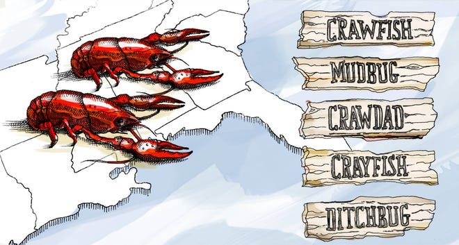 Crawfish