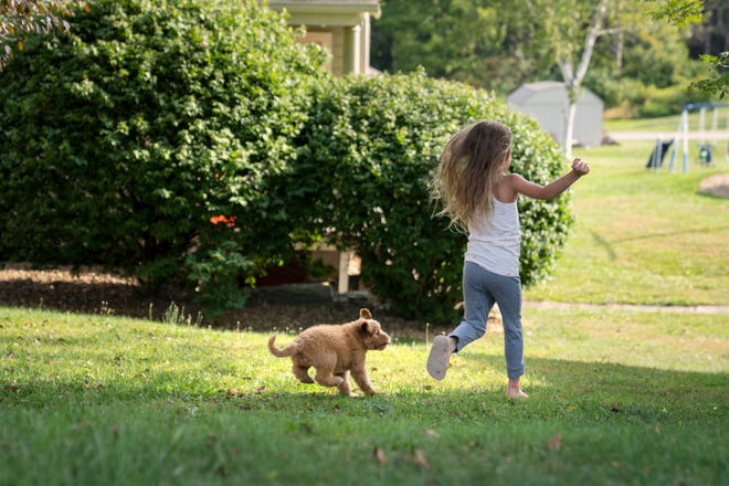 Lilly Baeckel, 6, and her dog Lollie in Shanksville, Pennsylvania, on Thursday, August 5, 2021.