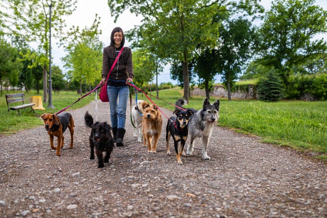If you found new customers for your dog-walking service on Rover.com, see if you can get those customers to refer their friends to you directly.