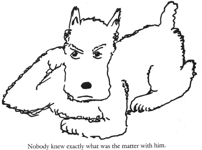The James Thurber drawing of Muggs, the family dog.