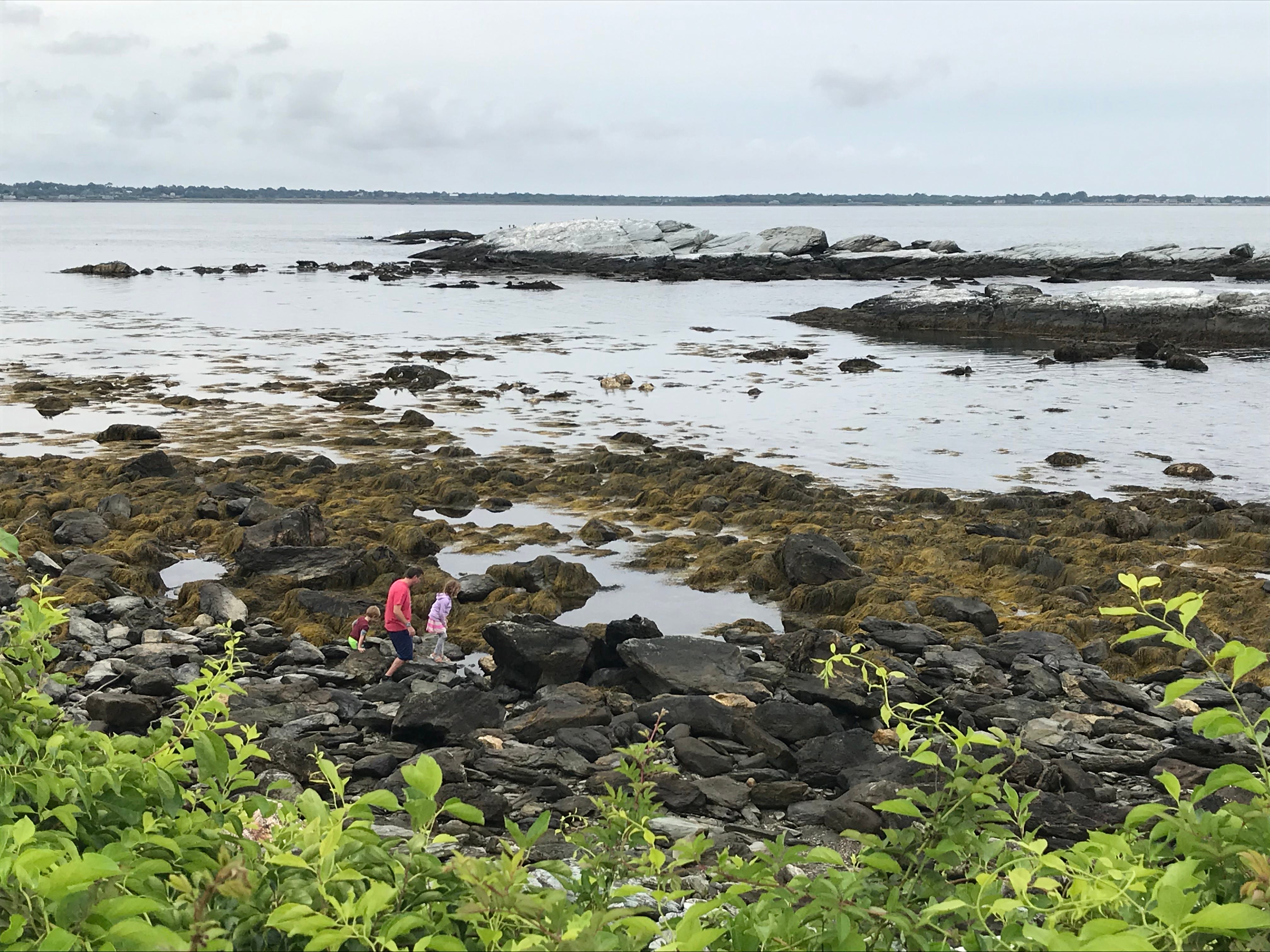 A man and two children hike along a rocky shoreline.