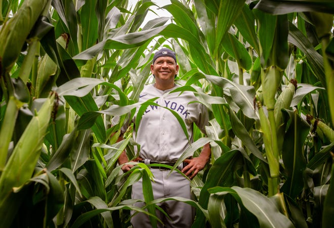 Alex Rodriguez stands in the corn at the Field of Dreams movie site outside of Dyersville, Wednesday, Aug. 11, 2021.
