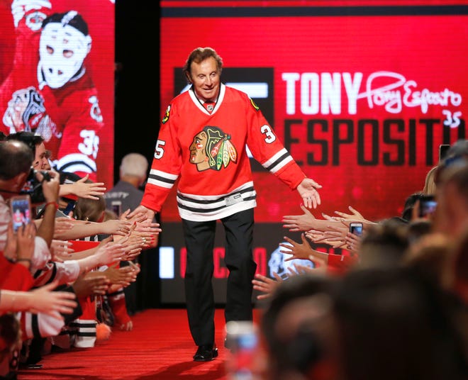 Chicago Blackhawks goalie Tony Esposito is introduced to the fans during the team's convention in Chicago on July 15, 2016. Esposito, a Hall of Fame goaltender who played almost his entire 16-year career with the Blackhawks, died following a brief battle with pancreatic cancer, the team announced on Tuesday. He was 78.