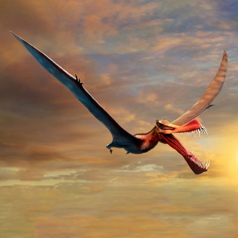 Artist's impression of the fearsome Thapunngaka sh