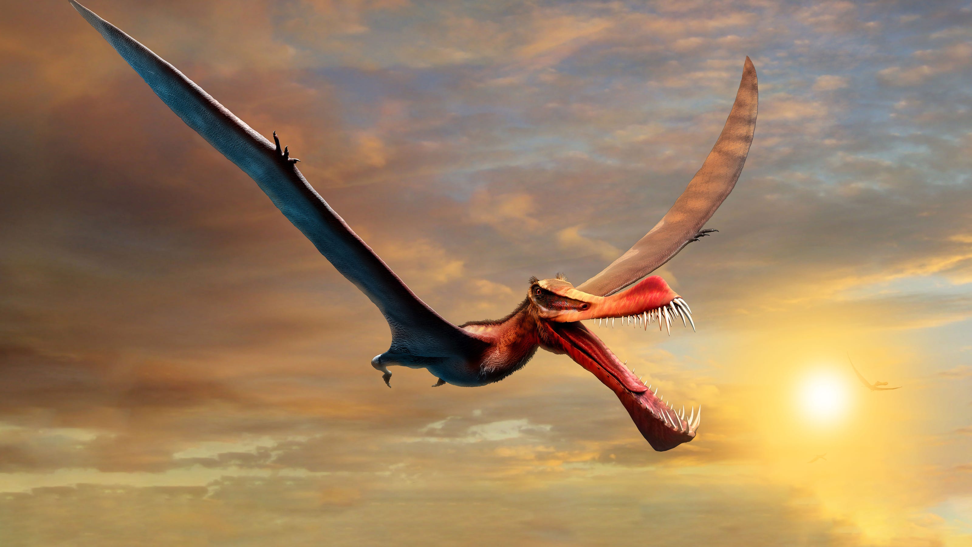 Fossils of pterosaur dinosaur in Australia like a real life dragon