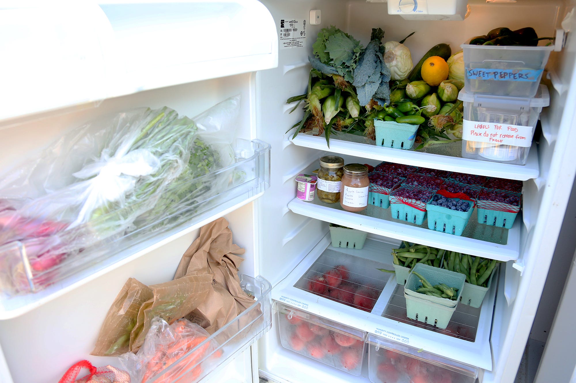 Kittery, Maine opens 'Seacoast Fridge', a community refrigerator for all