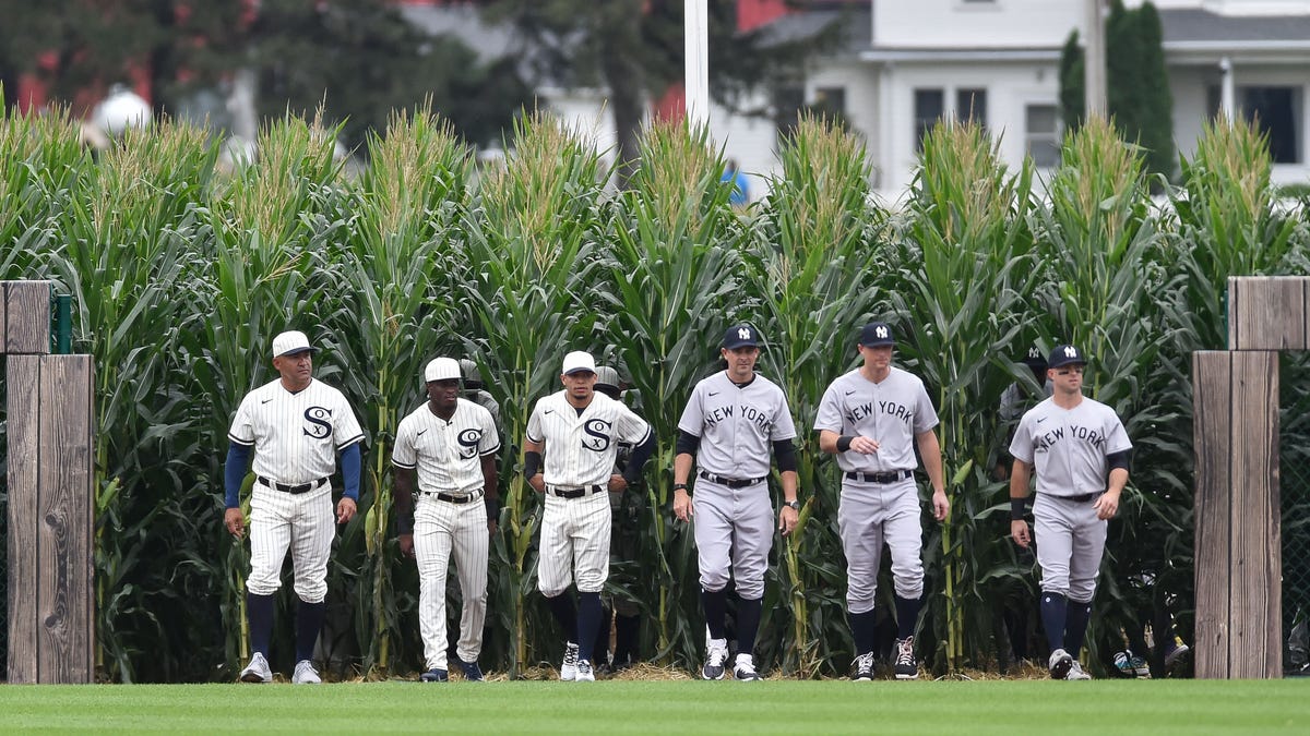 Players emerge from the corn to take the field.