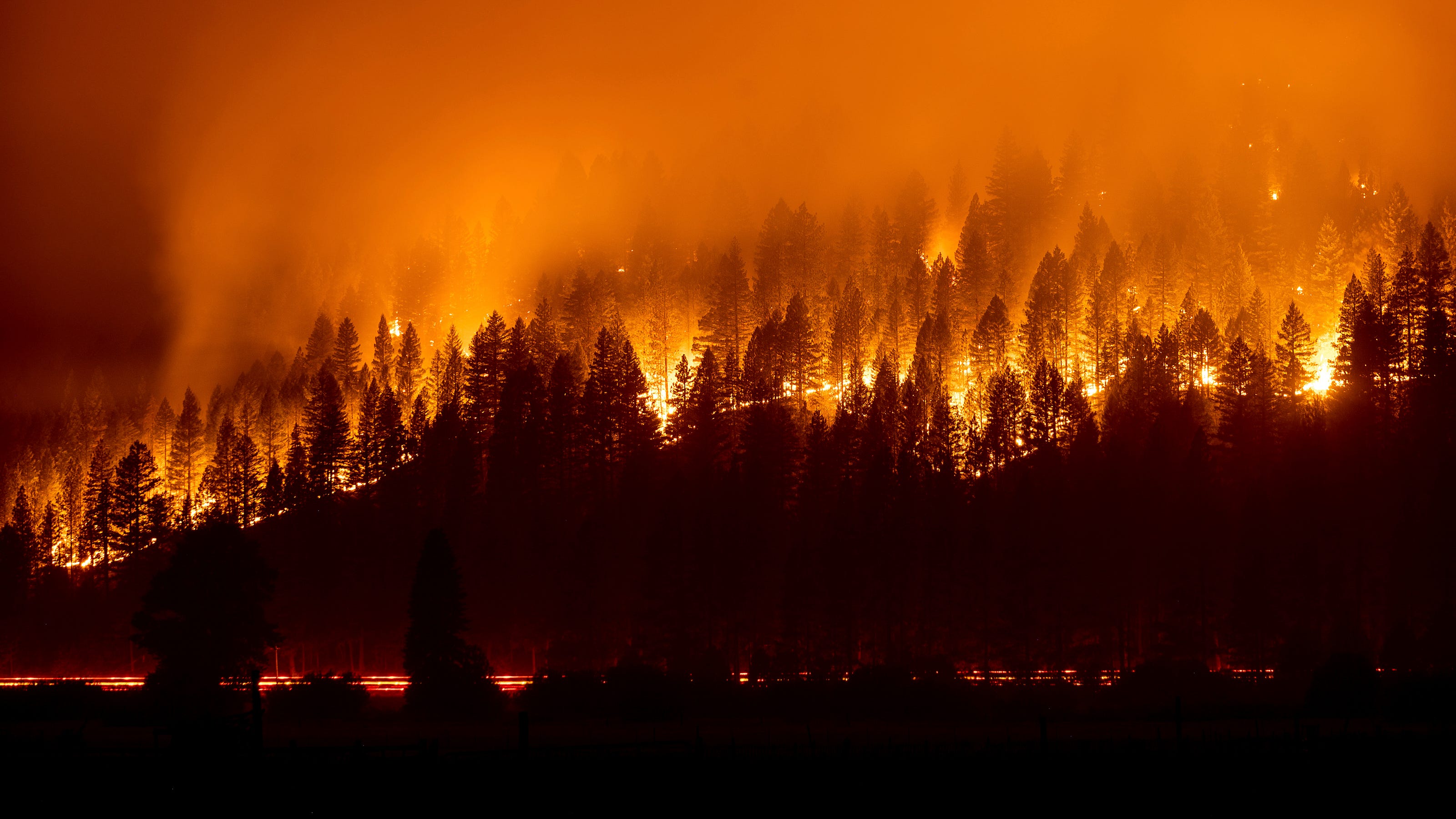 Wildfires In Us 2024 - Roana Christel